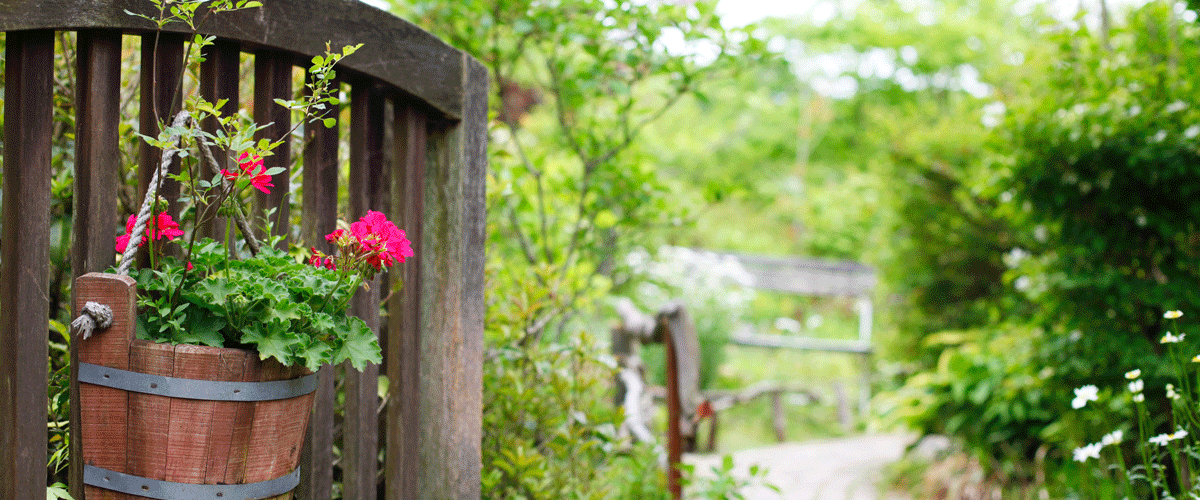 トップイメージ2